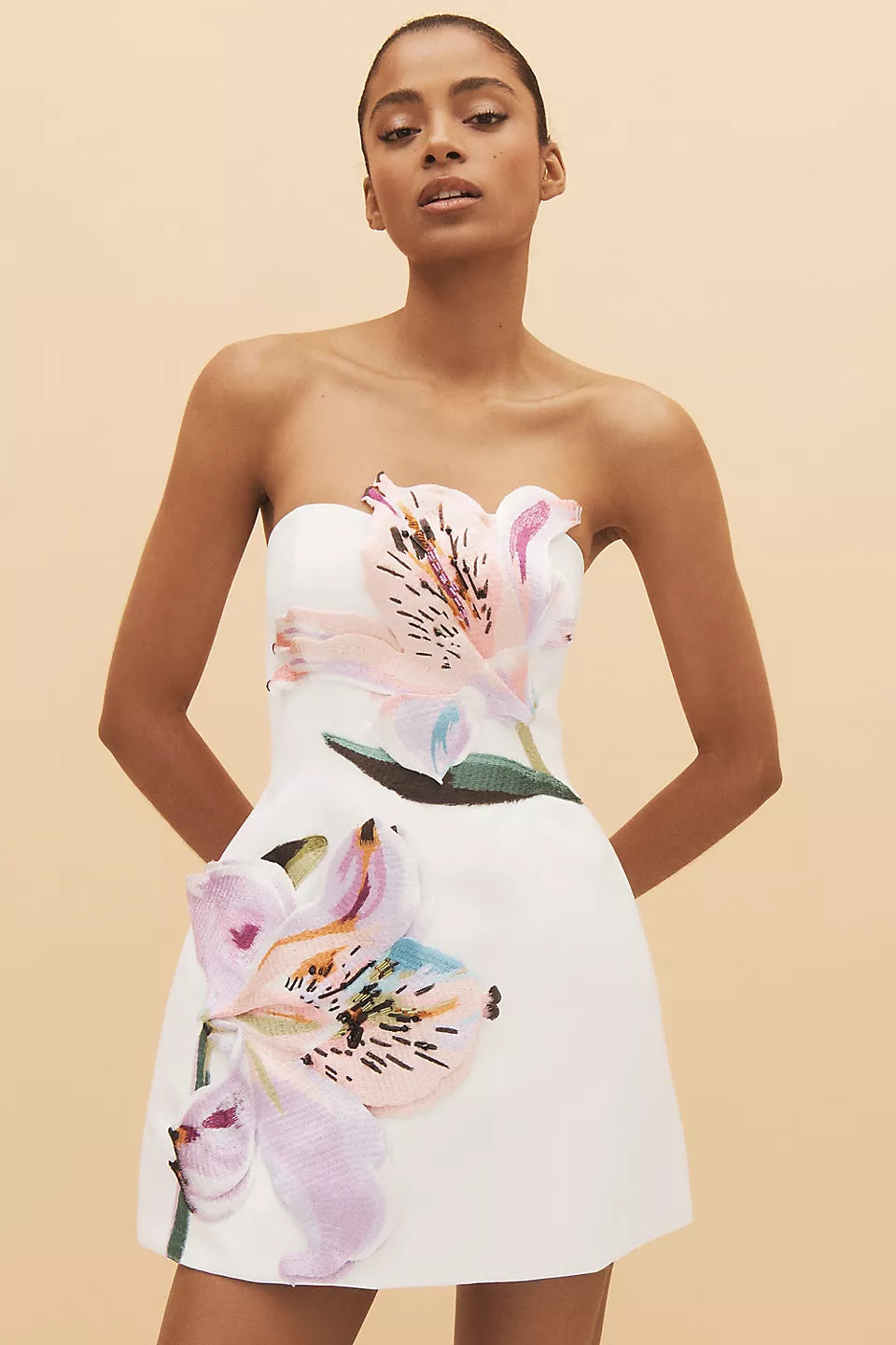 Rosario Floral Appliqué Mini Dress