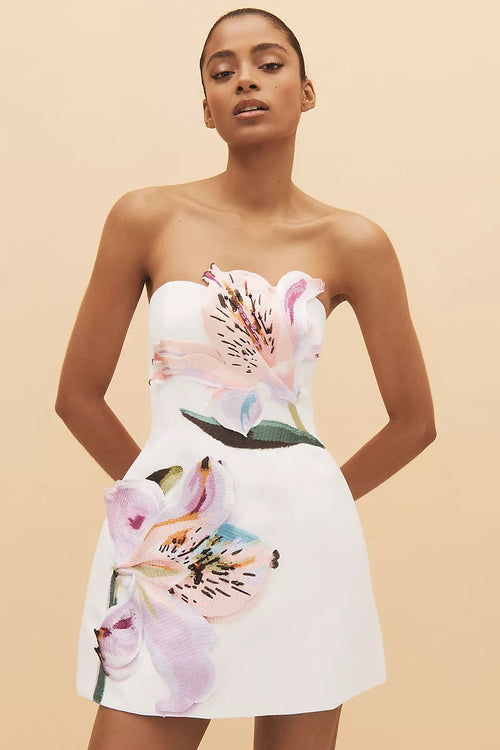 Rosario Floral Appliqué Mini Dress